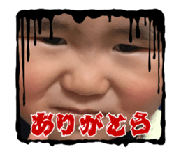736534314