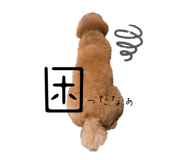 736535011
