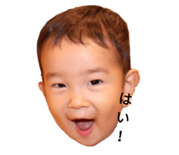 73653527