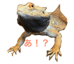 73653655