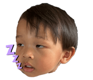 736538566