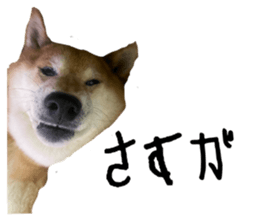 736538718