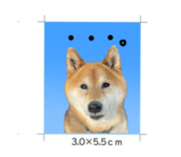 736538727