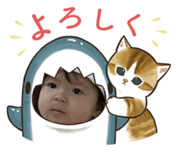 736543153