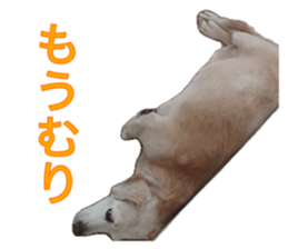 736561432