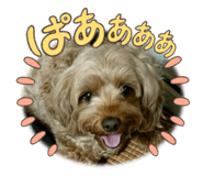 736566053