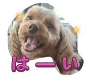 736566054