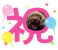 736566068