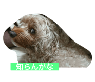 736566071