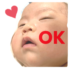 736566605