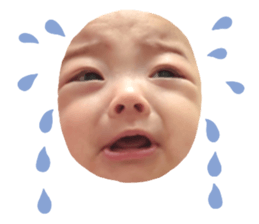 736573217