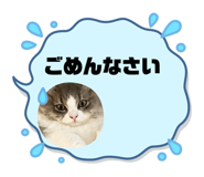 736574111