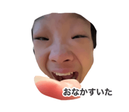 736593311