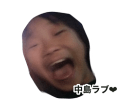736593317
