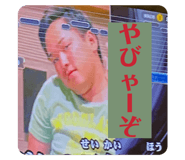736623376