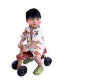 736647386