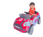 736647387