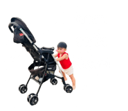 736647388