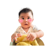 736647406