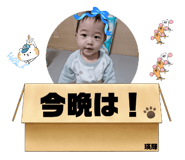 736651900