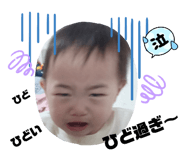736651922