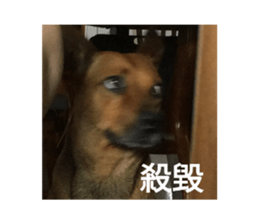 736661704