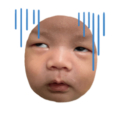736663196