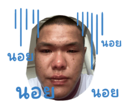 736666231
