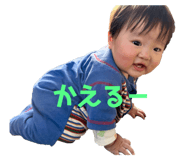 736675385