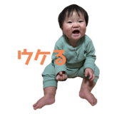 736675388