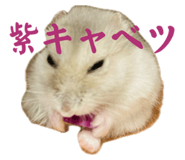 736676614