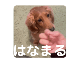 736678377