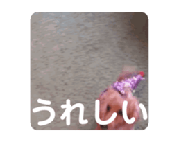 736678387