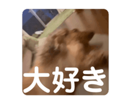 736678391