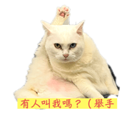 736686081