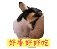 736686085