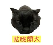 736686087