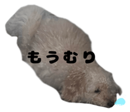 736687888
