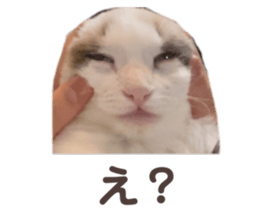 736688553