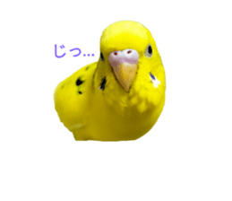 736696122