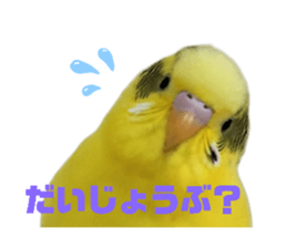 736696124