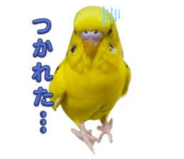 736696131