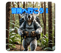736697706