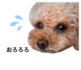 736700400