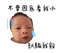 736701777