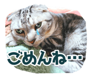 736709747