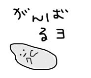 736716395