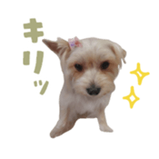 736753224