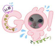 736755868