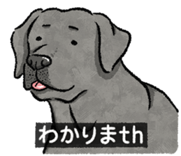 736758070